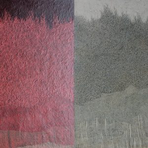 Diptyque-Aura-rouge