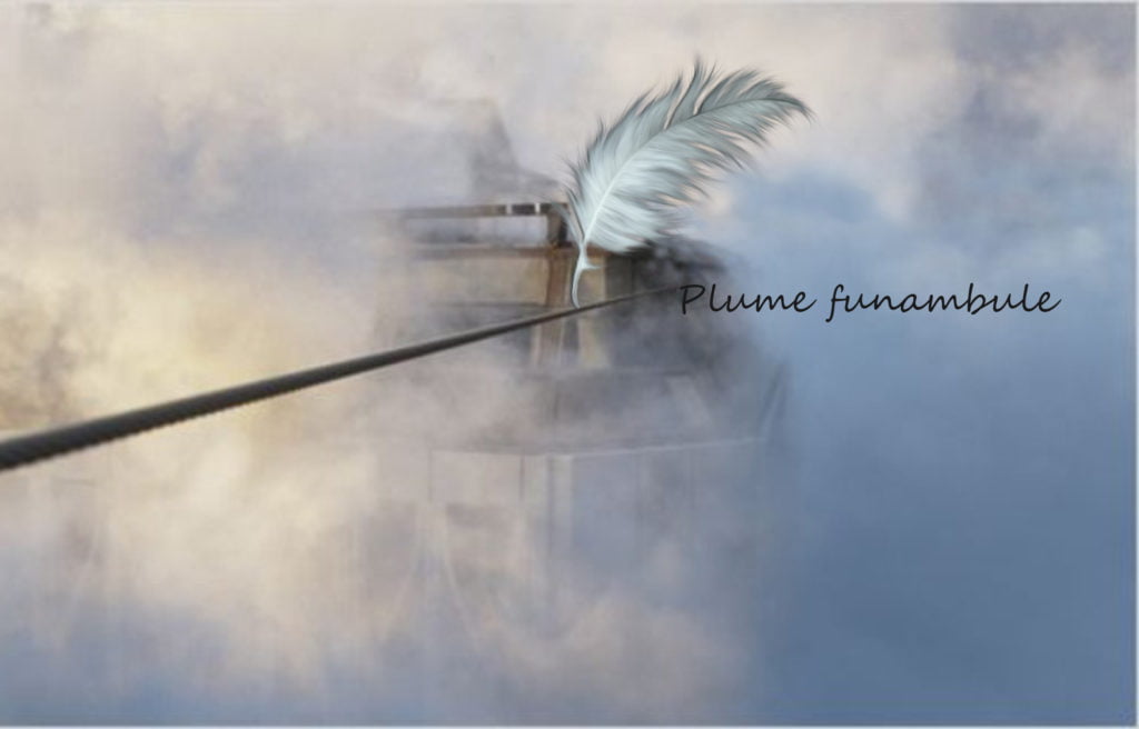 Plume funambule - S Amigo Soulet Galerie 21