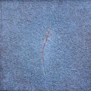 Variations-bleue