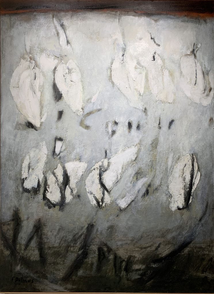 Coton galerie 21