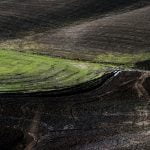 Environnement Fractal 013 par Lepelletier Joël