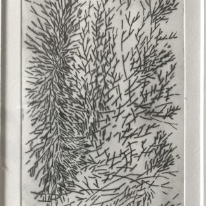 barrere claude galerie 21 Ramilles