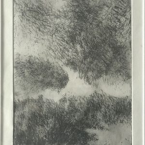barrere claude galerie 21 Roselieres