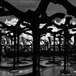 BETBEDER Patrick galerie 21 Des racines et des ailes