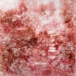 Harmony in chaos I par Pourny Anne