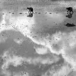 Série Rizières - Les nuages de ma rizière galerie 21
