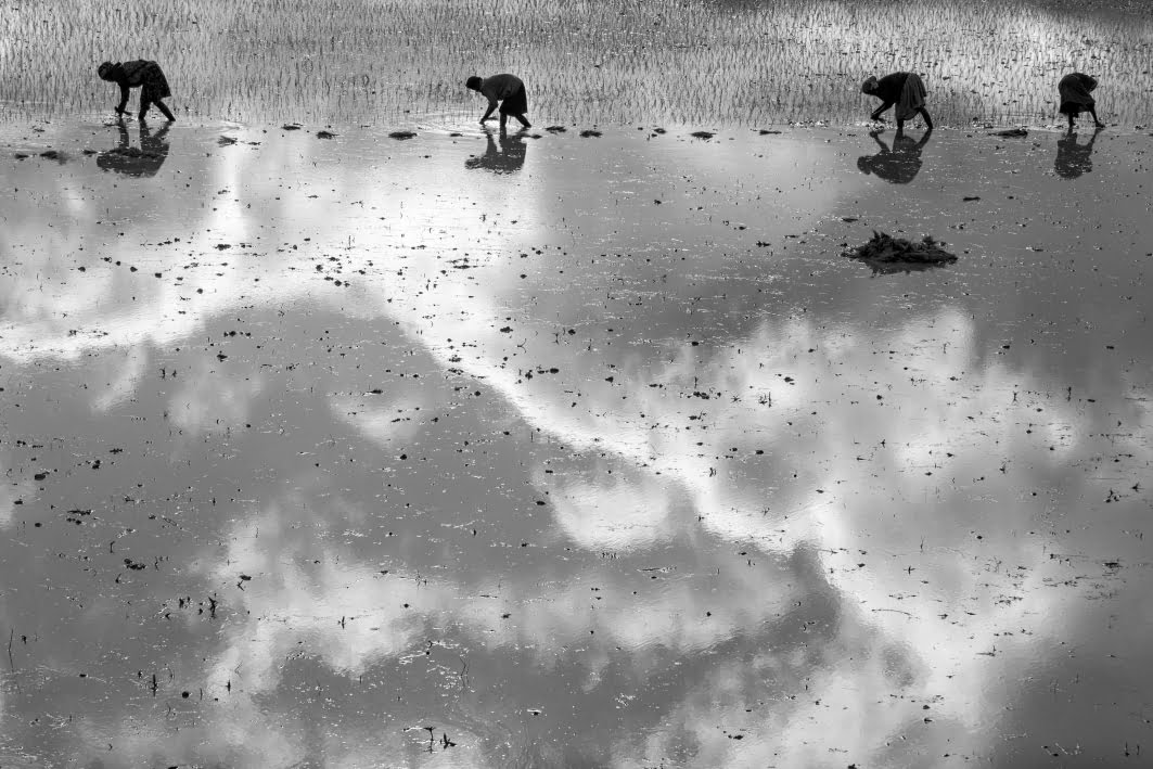 Serie-Rizieres-Les-nuages-de-ma-riziere-galerie-21 Série Rizières - Les nuages de ma rizière galerie 21