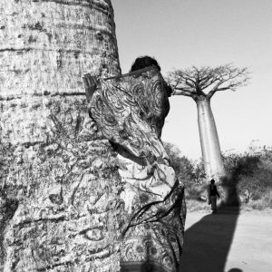 Série-Baobabs-Camouflage--Pierrot-Men-Galerie-21