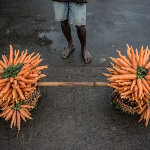Série-Couleurs-Etoiles-de-carottes--Pierrot-Men-Galerie-21