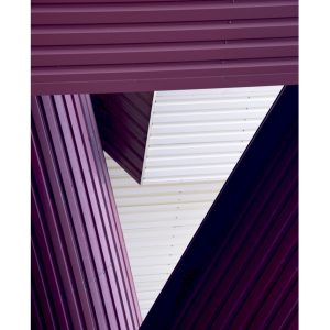 Galerie-21-Livio-Graneris-lamiere viola