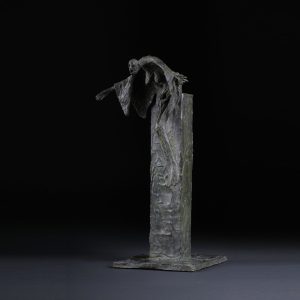 Vautour-Drape-Marc-Petit-Galerie-21