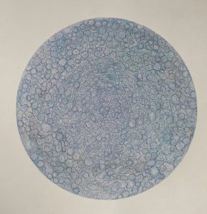 Cellule-dentelle-2-Alain-Jacques-Levrier-Mussat-Galerie-21