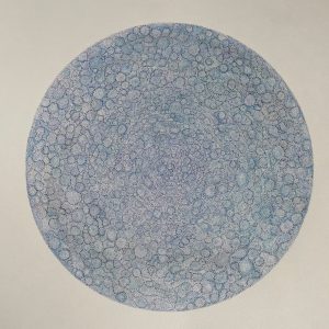 Cellule-dentelle-2-Alain-Jacques-Levrier-Mussat-Galerie-21