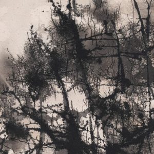 Forêt-et-brume-Ye-Xing-Qian-Galerie-21--50x40