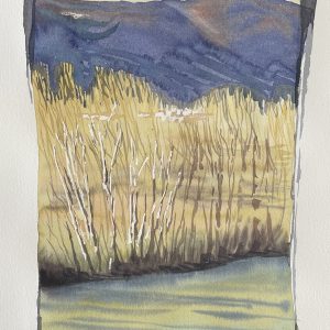 Jardin 24 Marc David Galerie 21