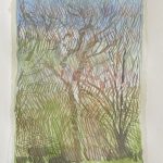 soleil de printemps sur le platane Marc David Galerie 21