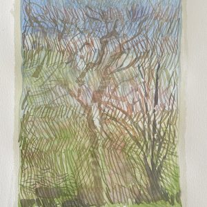 soleil de printemps sur le platane Marc David Galerie 21