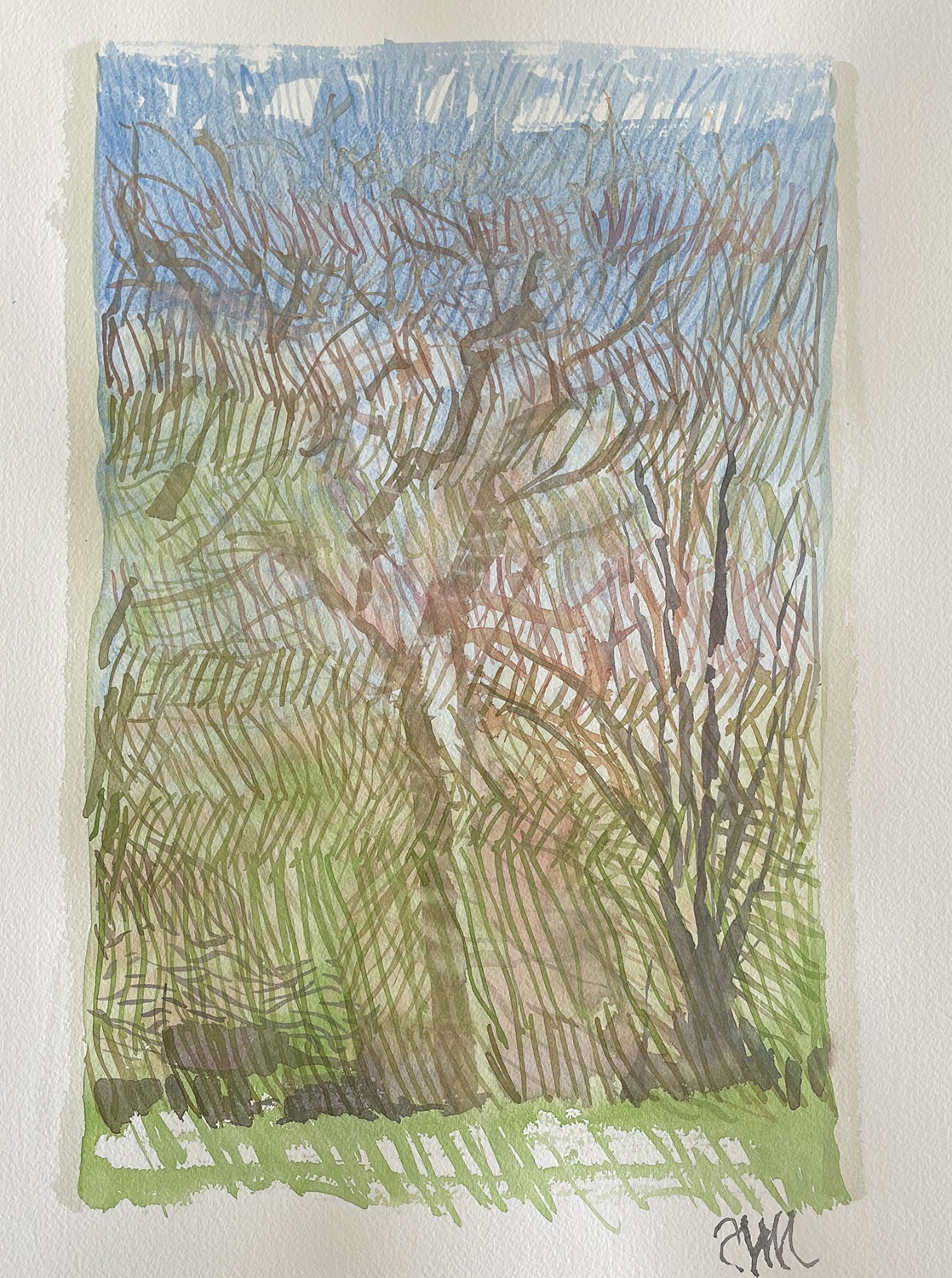 soleil de printemps sur le platane Marc David Galerie 21 soleil de printemps sur le platane Marc David Galerie 21