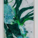 Flechten-10-bs-galerie-21