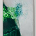 Flechten-4-bs-galerie-21