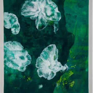 Flechten-7-bs-galerie-21