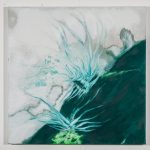 Flechten-8-bs-galerie-21