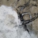 Loupes 1 bs Galerie 21
