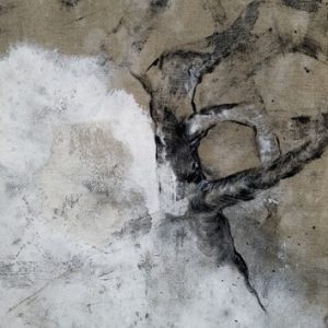 Loupes 1 bs Galerie 21