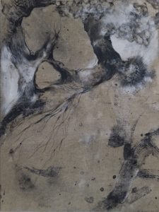 Loupes 11 bs Galerie 21