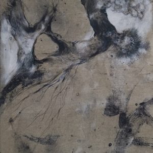 Loupes 11 bs Galerie 21