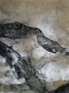 Loupes 12 bs Galerie 21