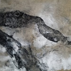 Loupes 12 bs Galerie 21