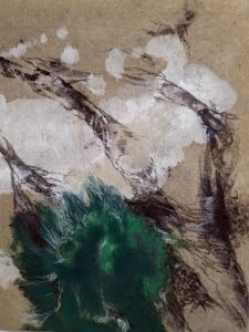 Loupes 14 bs Galerie 21