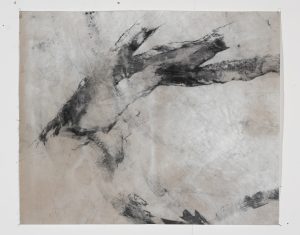 arbres meres 1 bs galerie 21