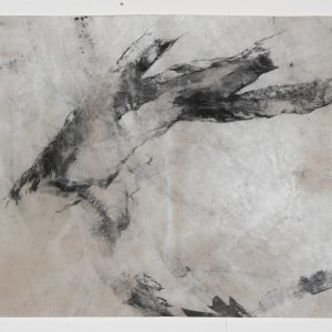 arbres meres 1 bs galerie 21