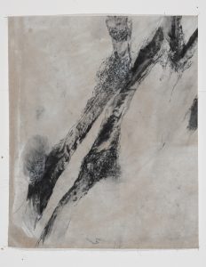 arbres meres 2 bs galerie 21