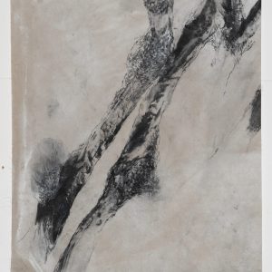 arbres meres 2 bs galerie 21