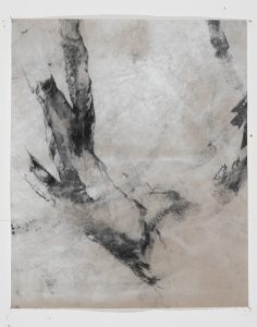 arbres meres 3 bs galerie 21