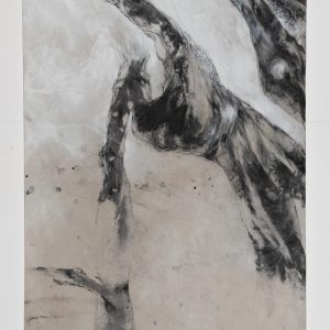 arbres meres 4 bs galerie 21