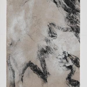 arbres meres 6 bs galerie 21