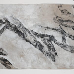 arbres meres 7 bs galerie 21