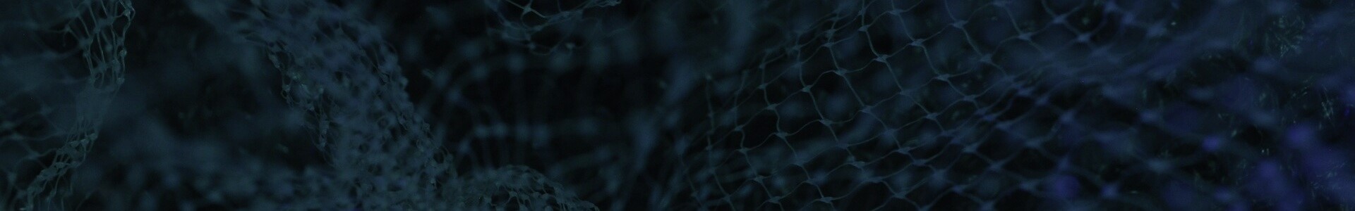 My account header