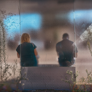 Dans la jungle d'un abribus Denis Lagarde Galerie 21