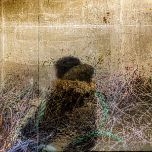 Gribouillis Denis Lagarde Galerie 21